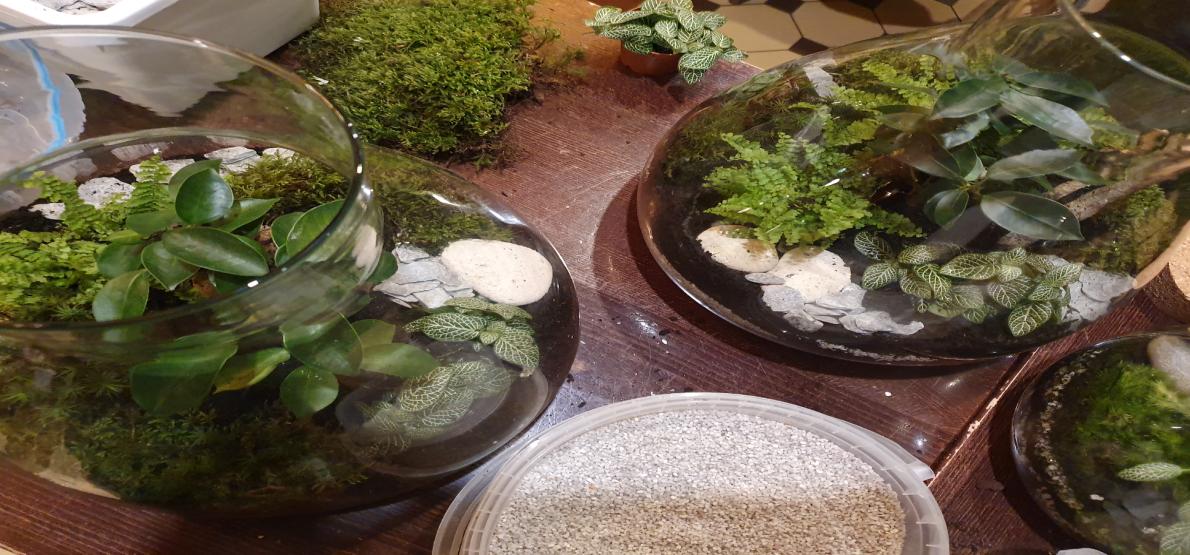 Atelier Terrarium Nature et RSE