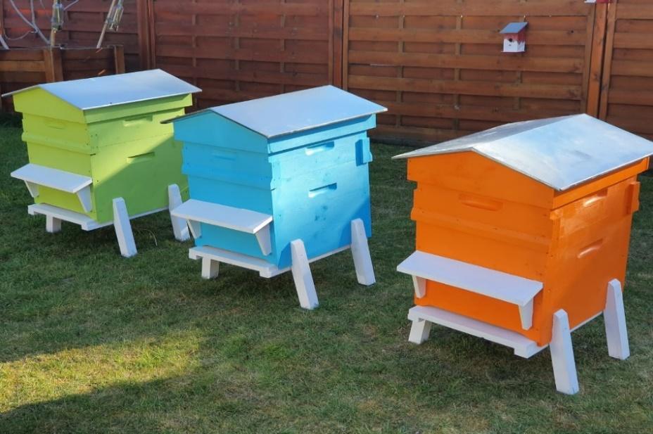 Atelier apiculture : montage de ruche, dégustation et quiz
