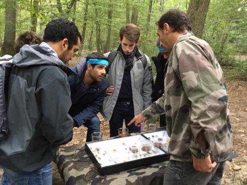 Chasse au trésor forestière « Survivants de L.O.S.T »